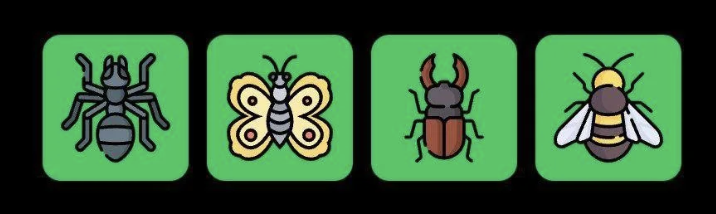 FLIES Daily Combo 5 June 2025
